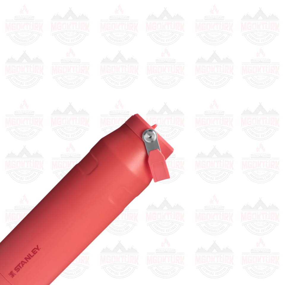 The IceFlow™ Bottle Flip Straw 2.0 0.07L / 24oz Hot Coral