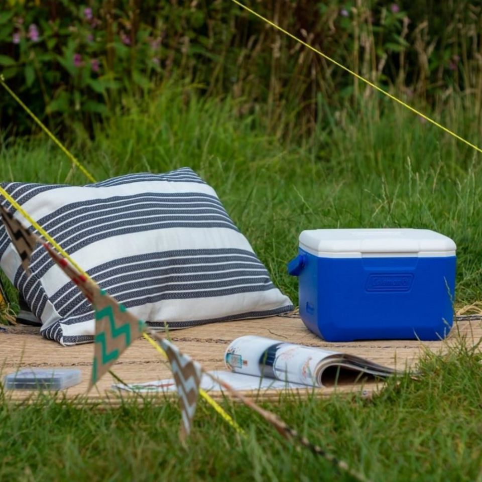 Coleman Performance Cooler 6 Personal 5 QT 4.7 Lt Buzluk