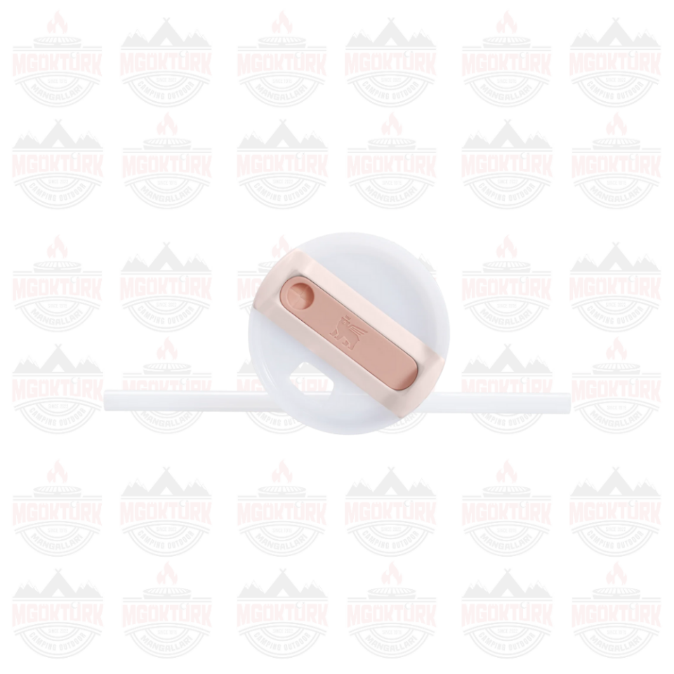 Quencher H2.O FlowState™ Tumbler Pipetli Termos | 0.6L Rose Quartz 2.0