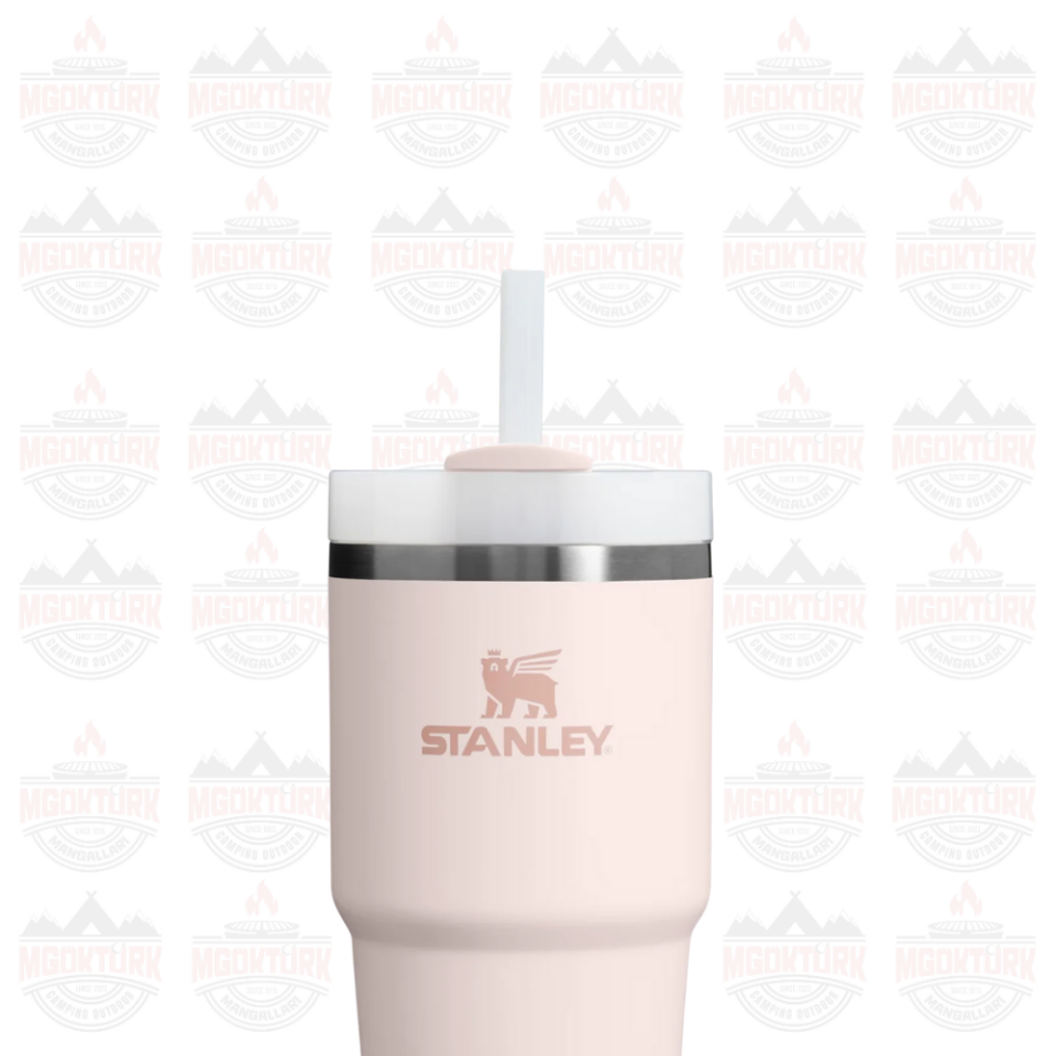 Quencher H2.O FlowState™ Tumbler Pipetli Termos | 0.6L Rose Quartz 2.0
