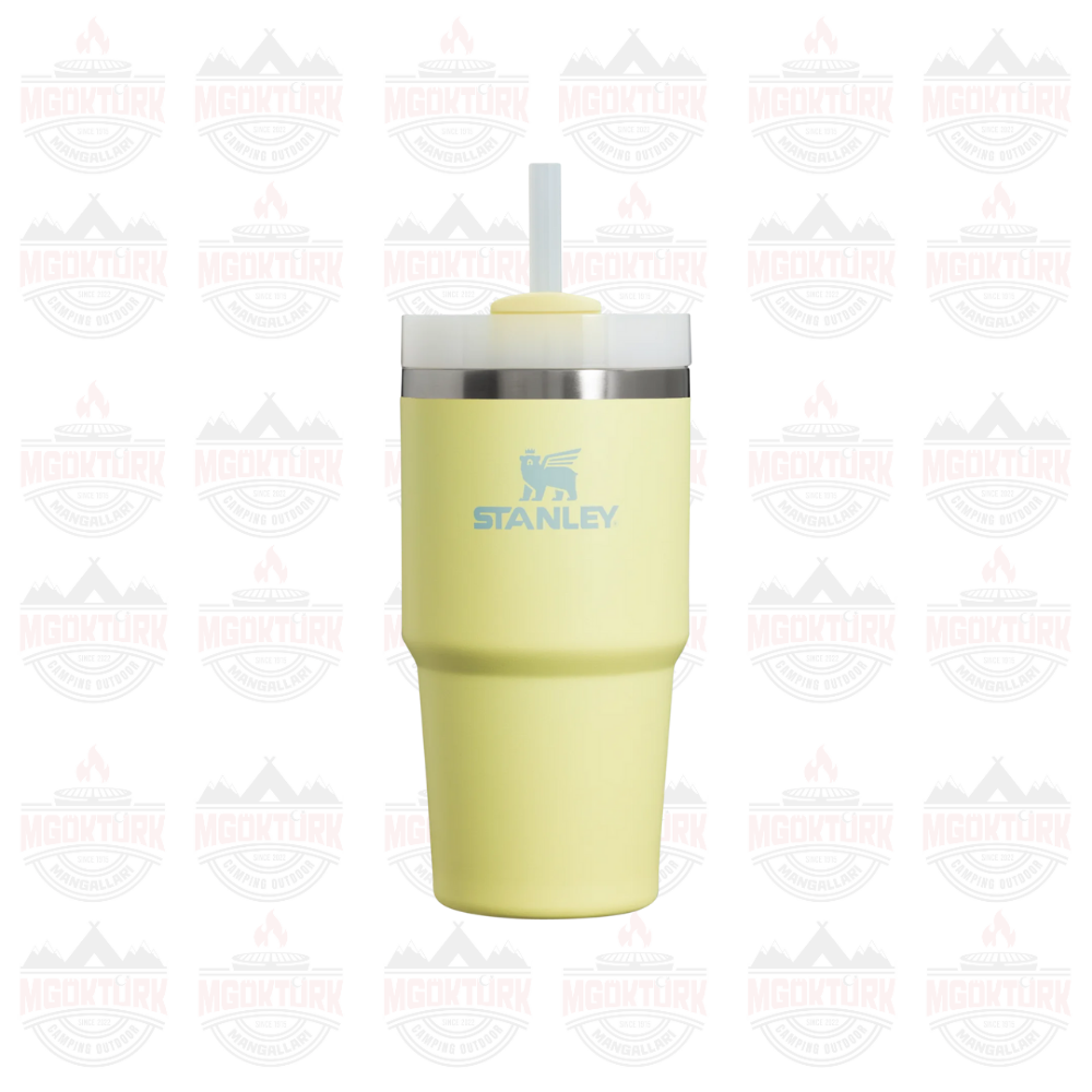 Quencher H2.O FlowState™ Tumbler Pipetli Termos | 0.6L Pomelo 2.0
