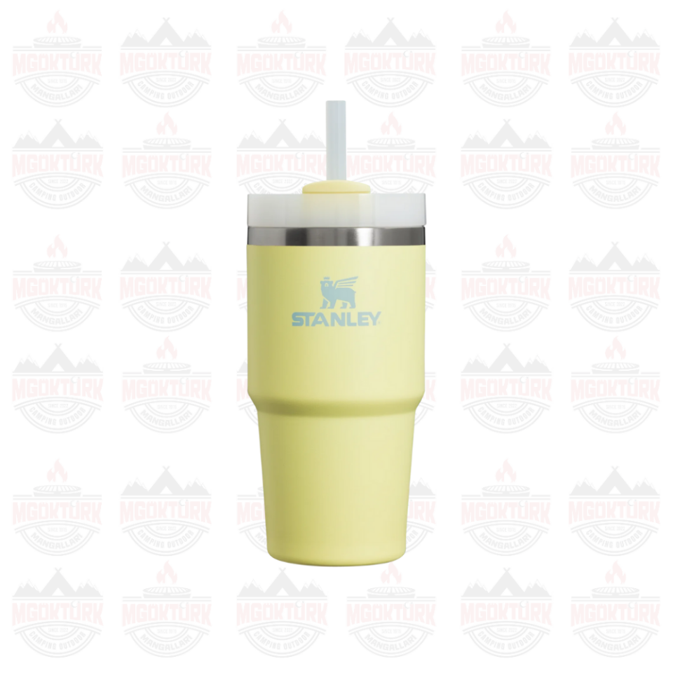 Quencher H2.O FlowState™ Tumbler Pipetli Termos | 0.6L Pomelo 2.0