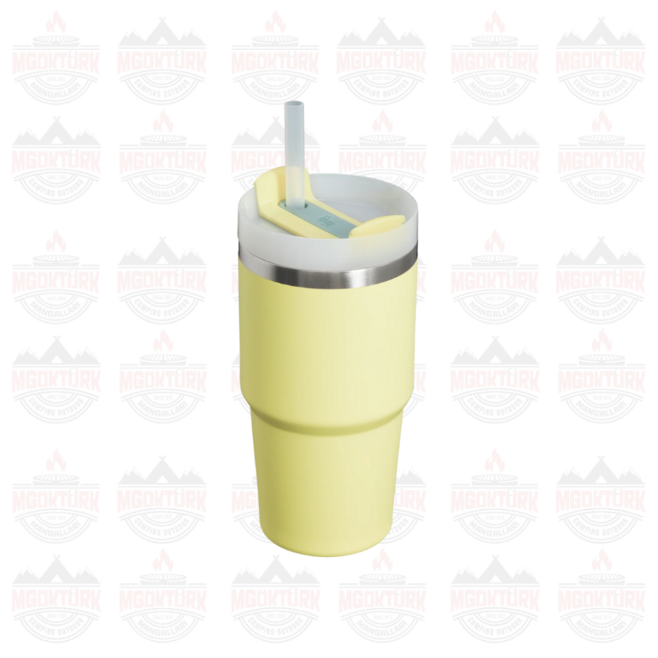 Quencher H2.O FlowState™ Tumbler Pipetli Termos | 0.6L Pomelo 2.0