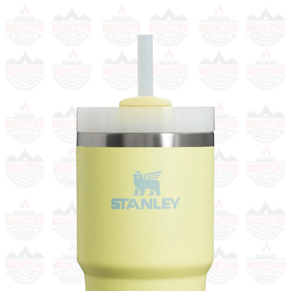 Quencher H2.O FlowState™ Tumbler Pipetli Termos | 0.6L Pomelo 2.0
