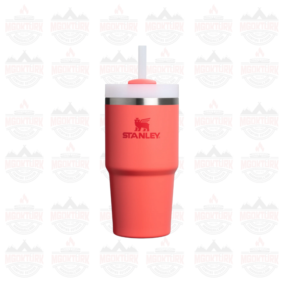 Quencher H2.O FlowState™ Tumbler Pipetli Termos | 0.6L Hot Coral